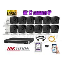 Kit 12 Cámaras de Seguridad Ip Poe Exterior Hikvision mas Disco 1Tb Wd Púrpura