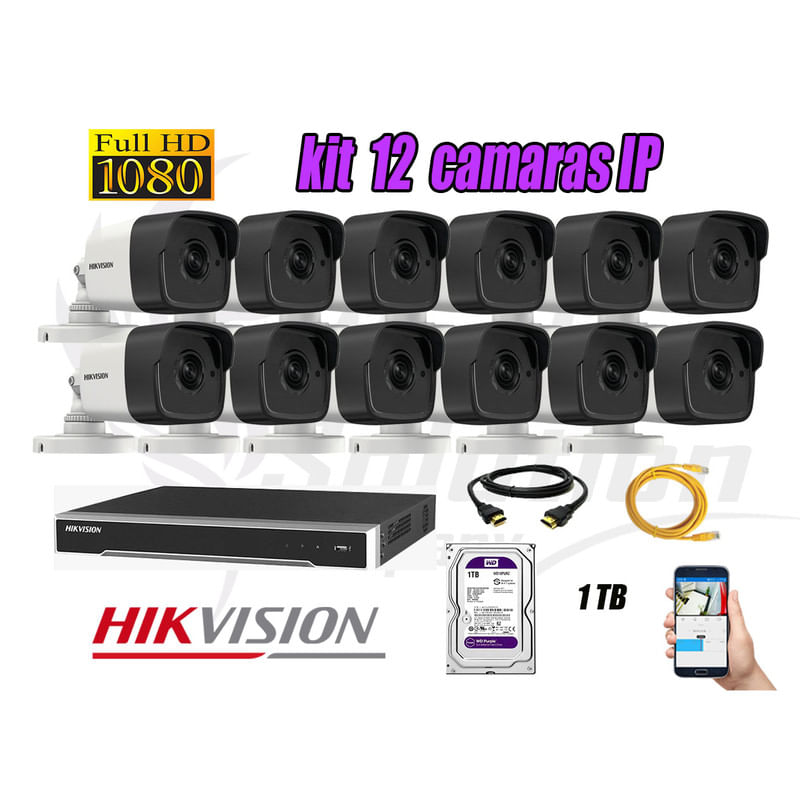 Kit 12 Cámaras de Seguridad Ip Poe Exterior Hikvision mas Disco 1Tb Wd Púrpura