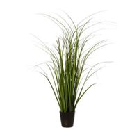 Manojo de hierba en maceta 50cm