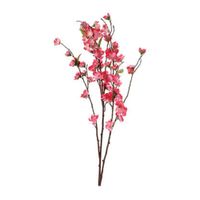 Flor de Tallo de Cerezo Orange