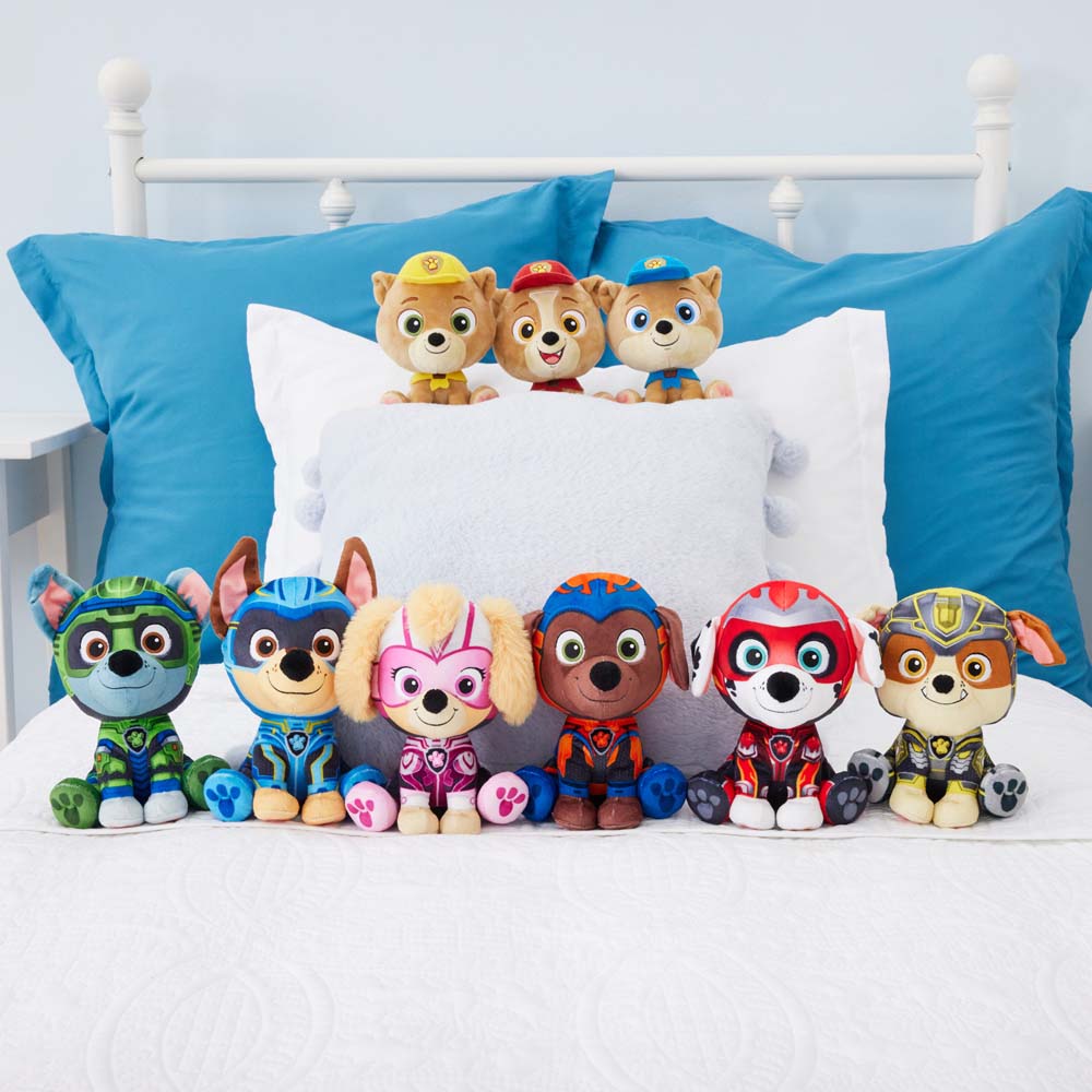 Peluche PAW PATROL 6067089 (Modelos Aleatorios)