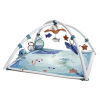 GIMNASIO MUSICAL 2EN1 TESORO DEL OCEANO TINY LOVE