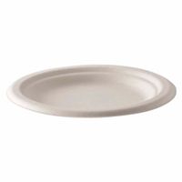Plato DARNEL Naturals Bagazo 6- 20un