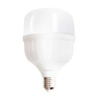 Foco led High Power 20w Luz Blanca