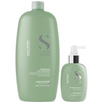 Shampoo Anticaída 1000ml + Tónico Alfaparf Scalp Renew Hair Loss