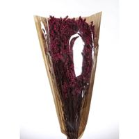 Ramo Fucsia 70 cm