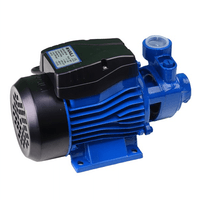 Electrobomba Periférica 0.5Hp 1"" X 1"" Kaili KL1301