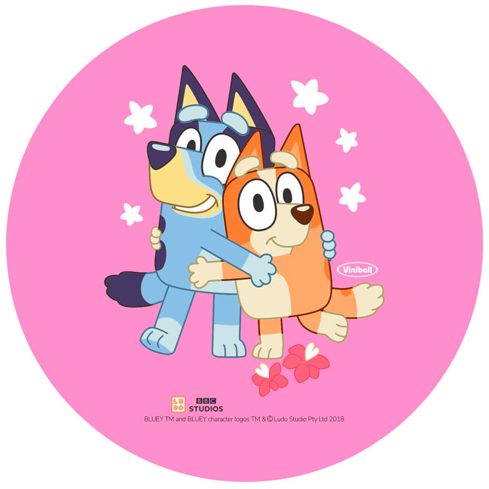 Pelota VINIBALL Bluey #5.5 015047