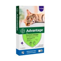 Pipeta Antipulgas Advantage para Gatos de 4 a 8Kg