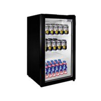 VISICOOLER DE 110 LITROS LG-100 - UN VERANO DIFERENTE