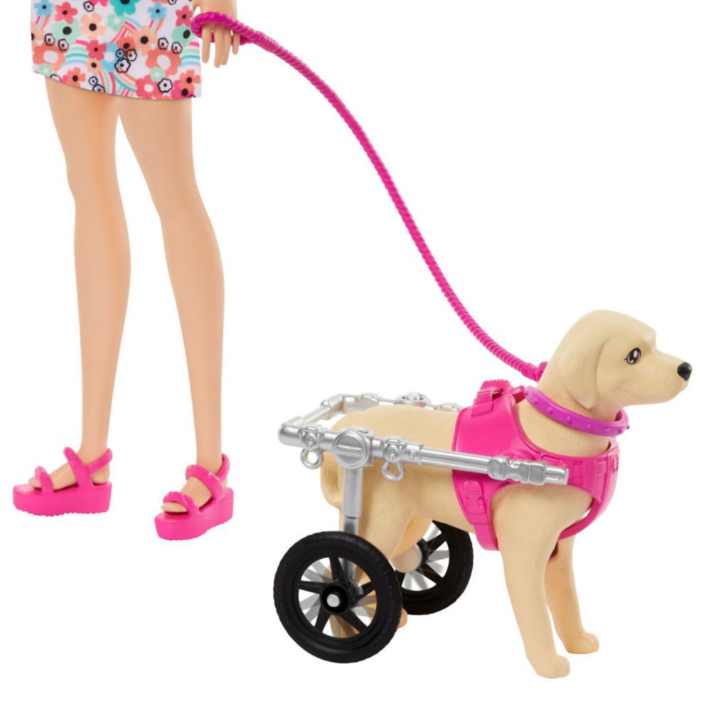 Muñeca Barbie Paseo Perrito Silla Ruedas