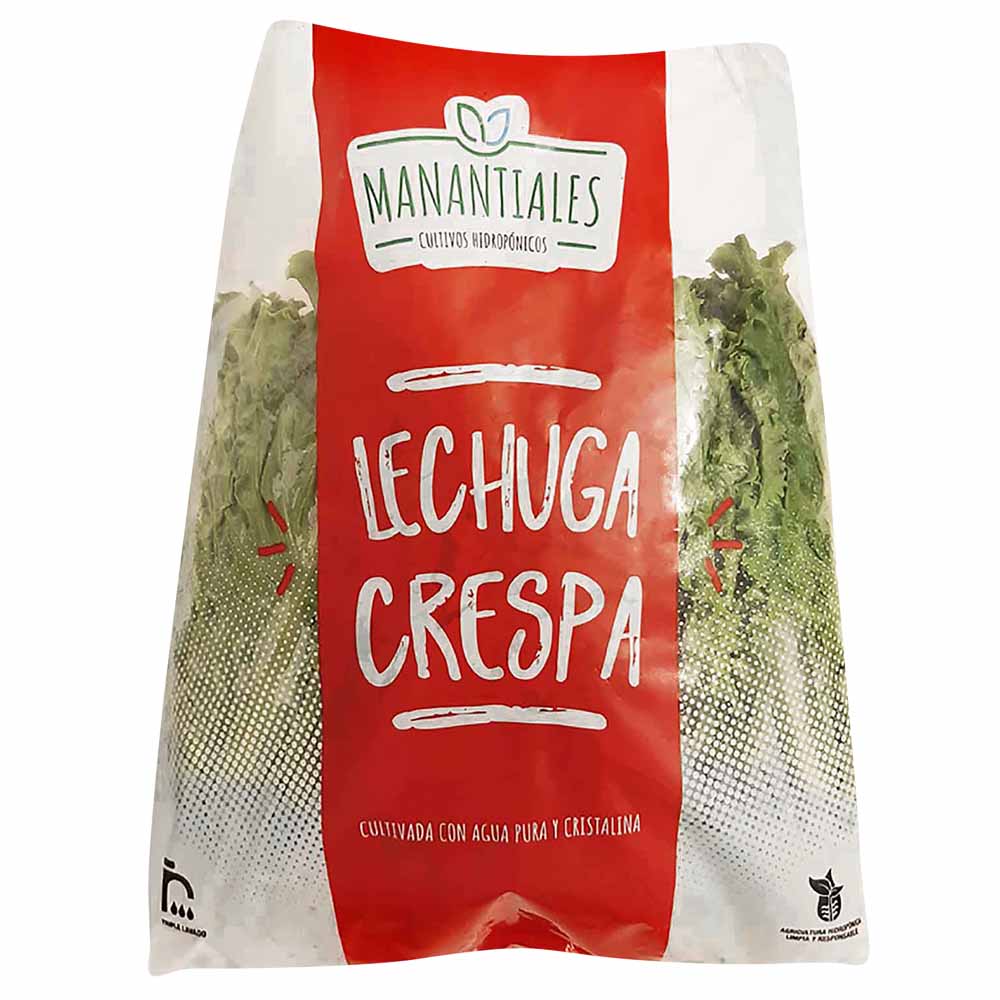 Lechuga MANANTIALES Crespa Hidropónica