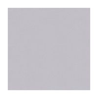 Piso Cerámico Cementicio Oxford Plata 60x60cm 2.58m2 San Lorenzo
