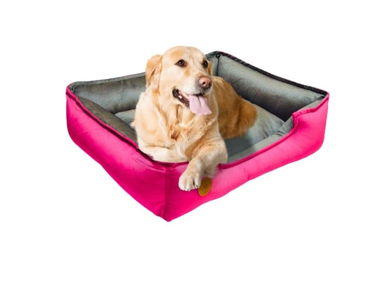 Cama para Mascota Talla 3XL 110x80cm Perro Antialergenica-Fuxia con Plomo