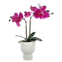 Orquidea Fucsia Pot Cerámica 45 cm