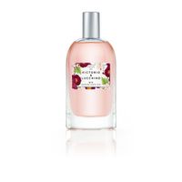 Perfume Aguas Florales N°5 Jazmin Exotico Victorio & Lucchino Mujer Edt 150Ml