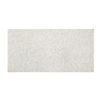 Cielo Raso Nymeria 15mm 61x122cm 5.95m2 Werken - Caja x 8u.