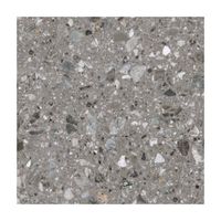 Piso Gress Liso Granito Brillante Gris 60x60cm 1.44m2 Naranja