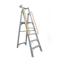 Escalera Plataforma Aluminio 5 Pasos Now Laders