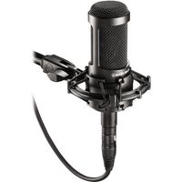 Micrófono Audio Technica AT2035 condensador cardioide negro