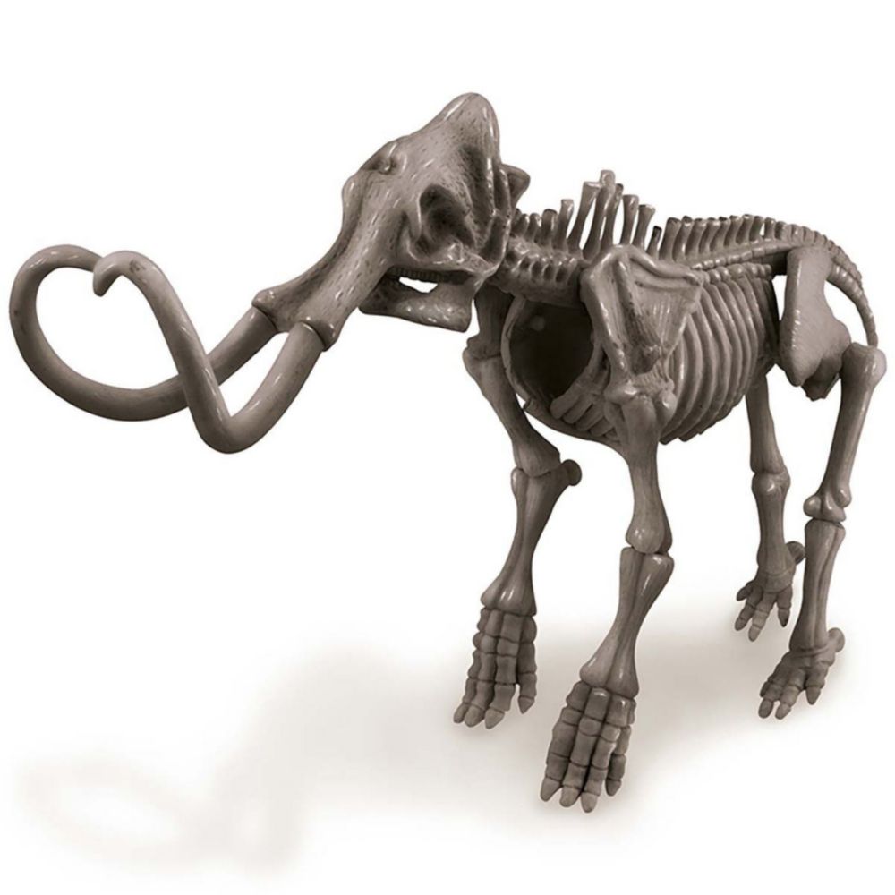Set 4M Excava Y Arma Un Esqueleto De Mamut