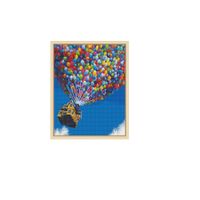 Cuadro Pintura Diamante 5D La Casa Voladora Paint Diamond