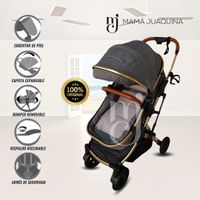 Coche Cuna Moisés de Lujo «CALIFORNIA BABY» Gris