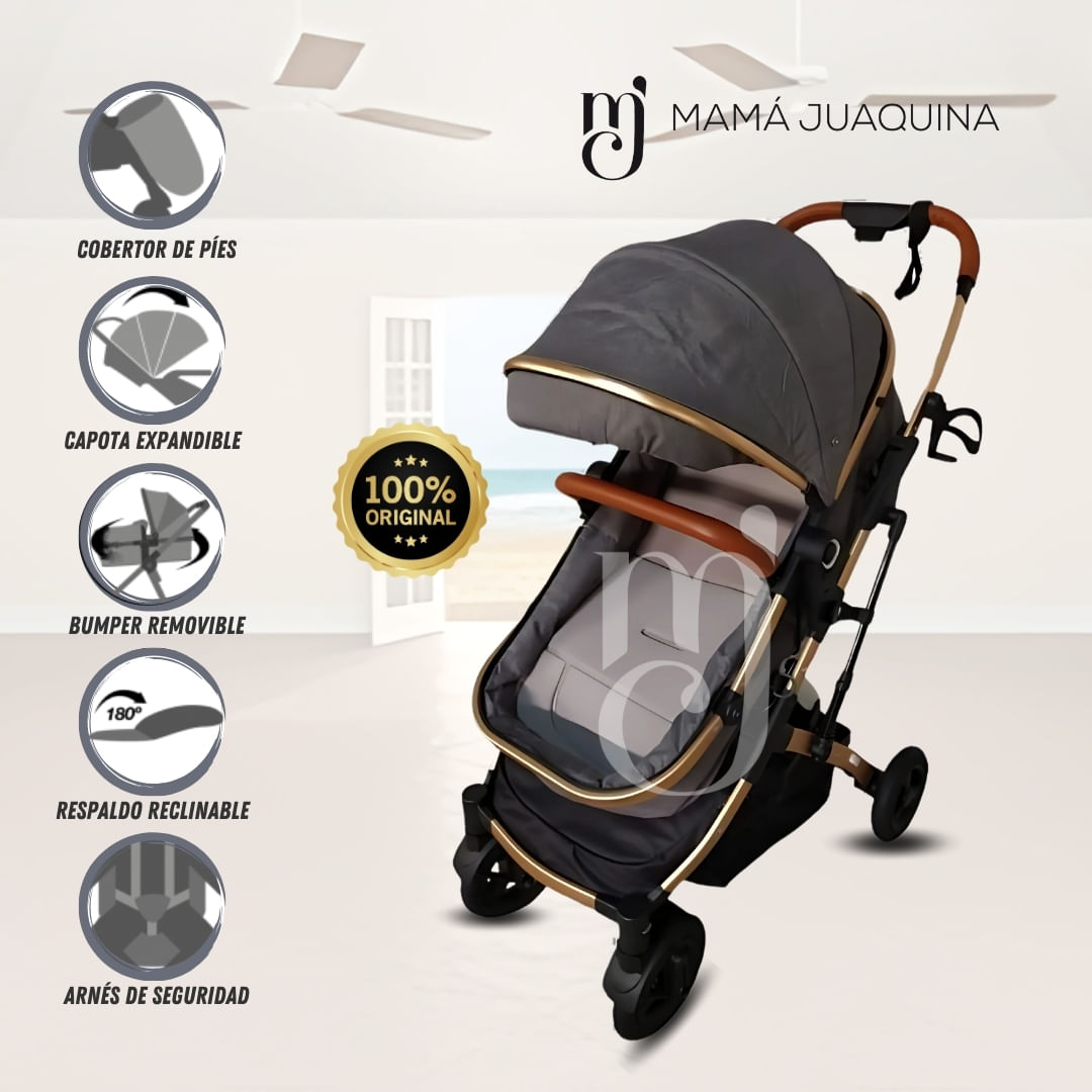 Coche Cuna Moisés de Lujo «CALIFORNIA BABY» Gris