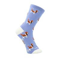 MEDIA PARA NIÑO ALGODÓN/ELASTANO BASSET AZUL HUSHPUPPIES