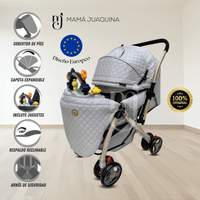 Coche Cuna de Lujo «SUMMER DAY» Edición Limitada Gris