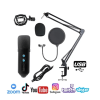 Microfono Condensador profesional BM858TZ USB estudio de grabación PC
