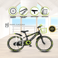 Bicicleta Aro 20 «ASHVIN II» Verde