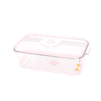 Caja de Almacenamiento para Refrigerador con Drenaje 20 cm