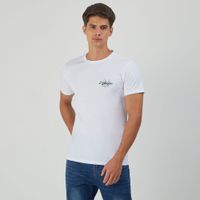 Polo Hombre Diseño Nuevo 8 Amc