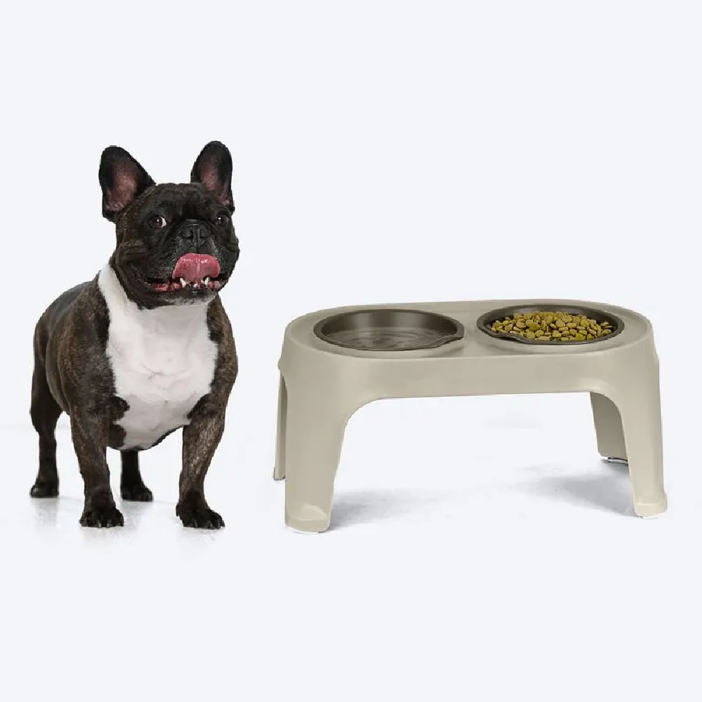 Comedero Alto PPerros- Rimax- Taupe Mocca