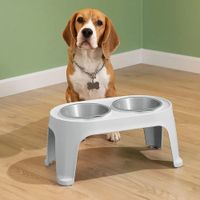 Comedero Alto P/Perros Medianos Gris Hielo - 70135005