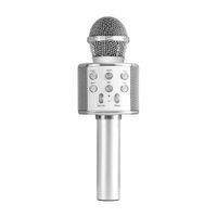 Micrófono Werken Karaoke Bluetooth 5W