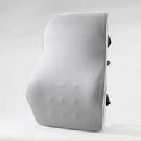 RESPALDAR LUMBAR N-100 GRIS