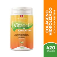 Vitagel Joint active  Polvo oral