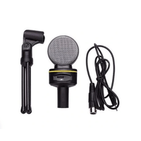 Microfono Condensador Andowl Profesional Con Tripode 3.5mm