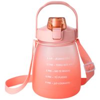 Tomatodo DECO HOME 1.3L Colores Variados OI 2025