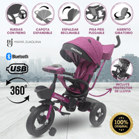 Triciclo con Protector de Lluvia Difensore Musical Morado
