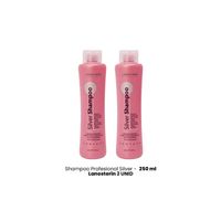 Shampoo Profesional Silver 250ml lanosterin 2 Unid