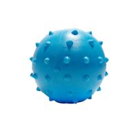 Pelota C/Grip para Perro Celeste