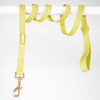 Buddies Correa Pvc Para Perros Paseos Verde 152cm