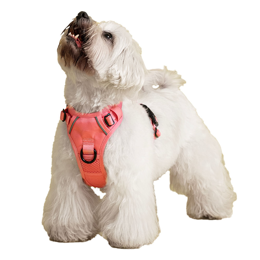 Arnés Pechera Para Perros Ajustable Rosado S