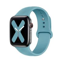 CORREA DE SILICONA PARA APPLE WATCH 42-44-45-49 MM CELESTE CACTUS