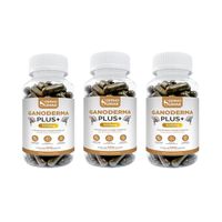 Ganoderma Plus+ 500mg Dermo Sumak 3 und