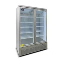 Vitrina Visicooler Ventus VCBM-1000L Bottom Mounted 2 Puertas 1000L