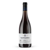 VINO CARTAGENA PINOT NOIR 2022 -750 ML